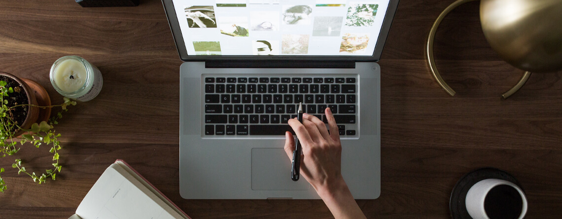 webd-studio-blog-post-content-2